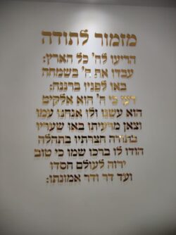 ⁦מזמור לתודה⁩ – תמונה ⁦5⁩