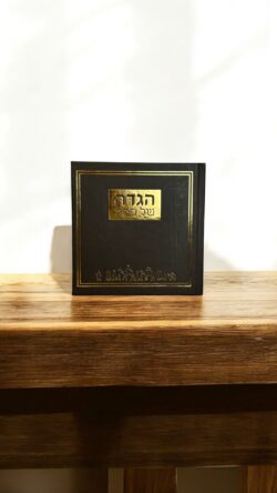 ⁦הגדה דגם יציאת מצרים⁩ – תמונה ⁦4⁩