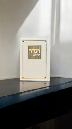 ⁦הגדה דגם מעבדות לחירות⁩ – תמונה ⁦3⁩