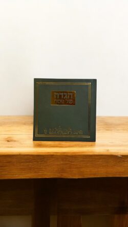 ⁦הגדה דגם יציאת מצרים⁩ – תמונה ⁦3⁩