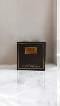 ⁦הגדה דגם יציאת מצרים כריכה רכה⁩ – תמונה ⁦4⁩