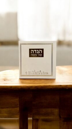 ⁦הגדה דגם יציאת מצרים⁩ – תמונה ⁦2⁩