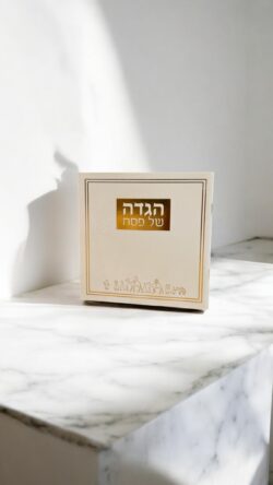 ⁦הגדה דגם יציאת מצרים כריכה רכה⁩ – תמונה ⁦3⁩