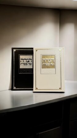 ⁦הגדה דגם מעבדות לחירות⁩ – תמונה ⁦2⁩