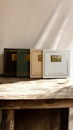 הגדה דגם יציאת מצרים