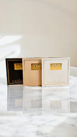 הגדה דגם יציאת מצרים כריכה רכה