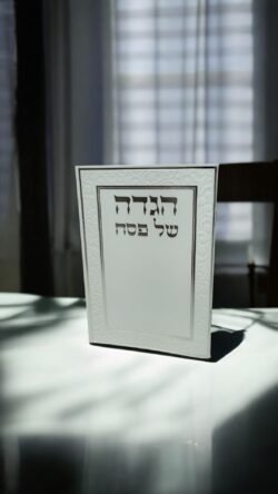 הגדה דגם 201