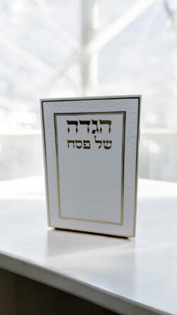⁦הגדה דגם 201⁩ – תמונה ⁦2⁩