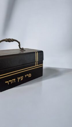 ⁦תיק אתרוג 106⁩ – תמונה ⁦3⁩