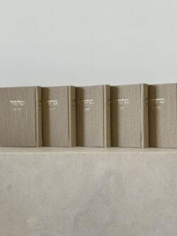 ⁦סט מחזורים אבן⁩ – תמונה ⁦2⁩