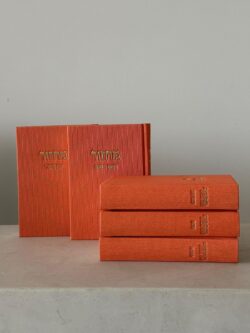 ⁦סט מחזורים כתום⁩ – תמונה ⁦2⁩