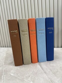 ⁦סט מחזורים צבעוני⁩ – תמונה ⁦2⁩